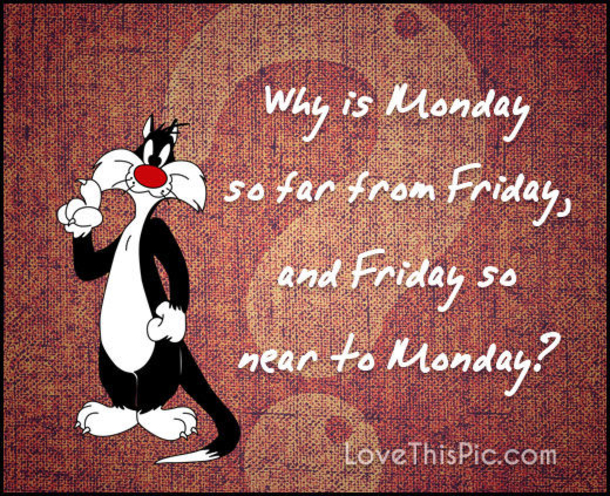 10 Monday Pictures & Quotes To Start A Brand New Week - picture 6