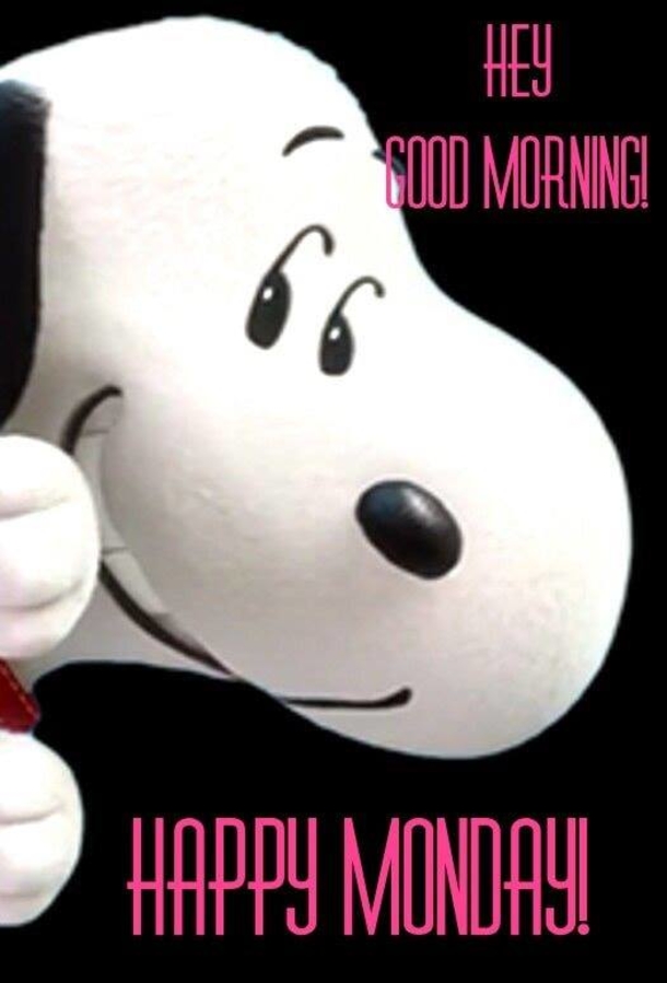 10 Monday Quotes From Snoopy And The Peanuts Gang - picture 7
