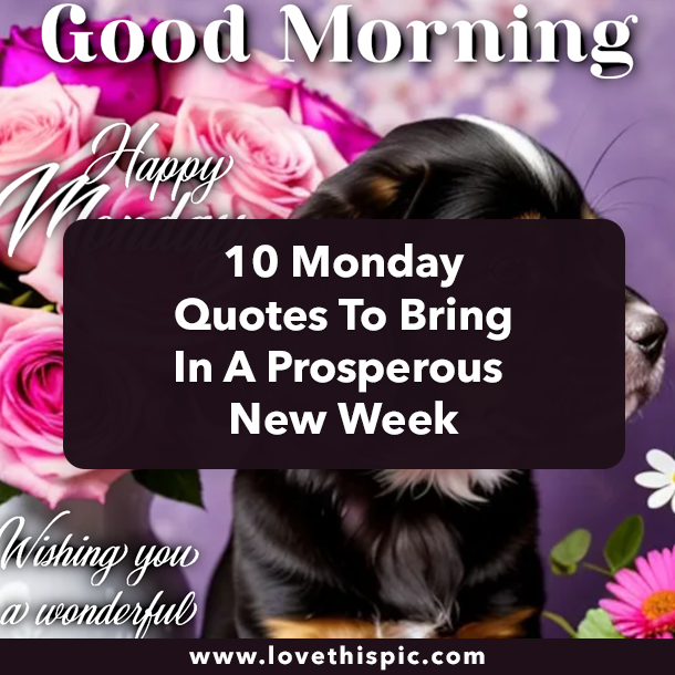 10 Monday Quotes To Bring In A Prosperous New Week