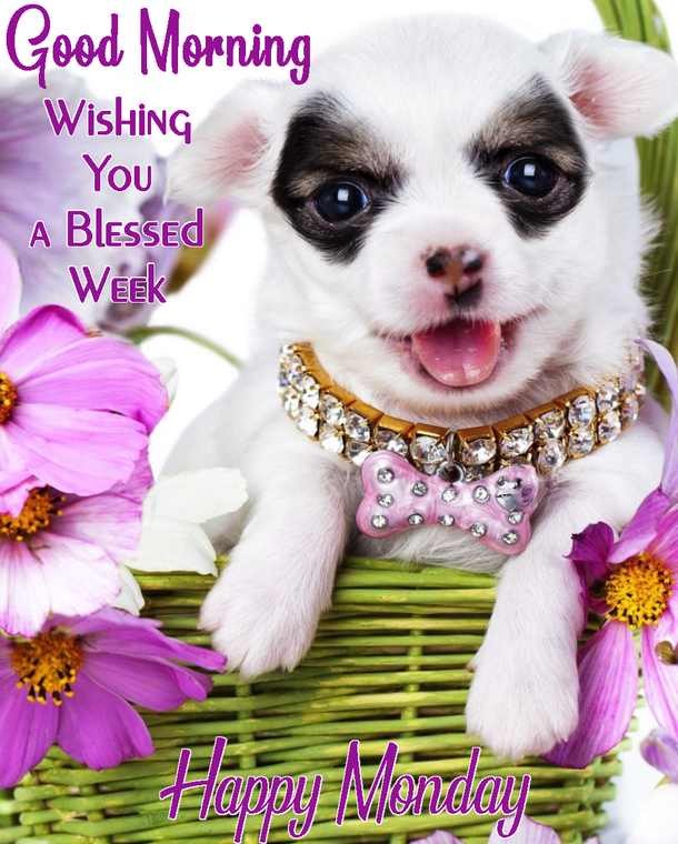10 Monday Quotes To Bring In A Prosperous New Week - picture 10