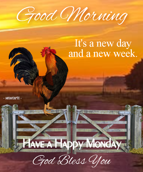10 Monday Quotes To Bring In A Prosperous New Week - picture 2