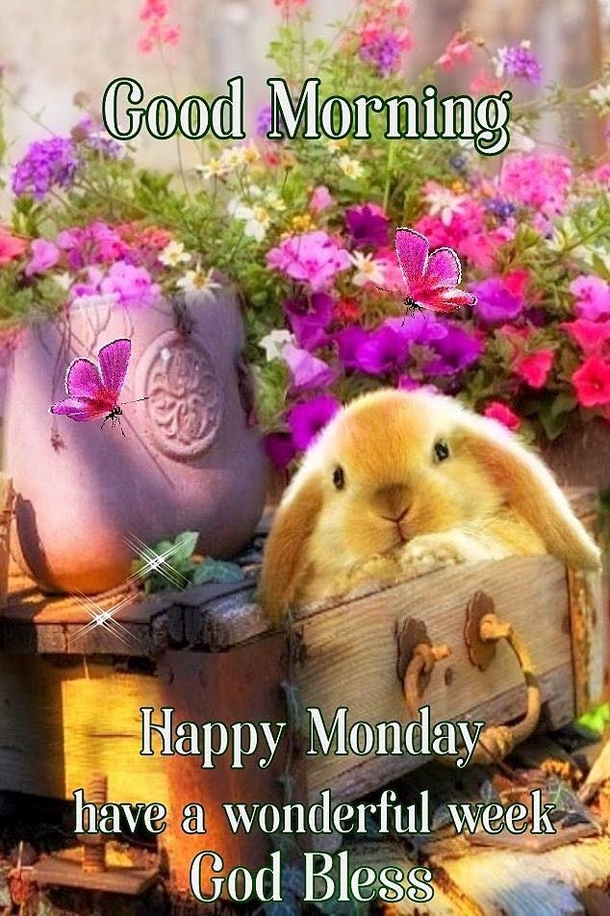 10 Monday Quotes To Help Everyone With The Start Of A Great Week - picture 11