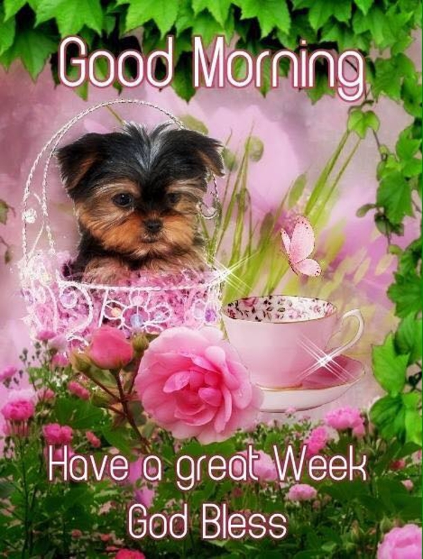10 Monday Quotes To Help Everyone With The Start Of A Great Week - picture 4