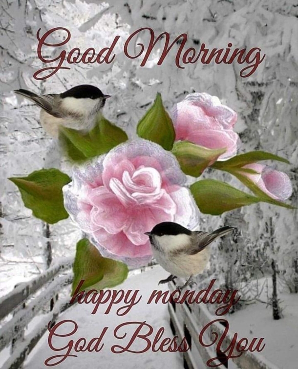 10 Monday Quotes to Kickstart Your Week on a Positive Note - picture 10
