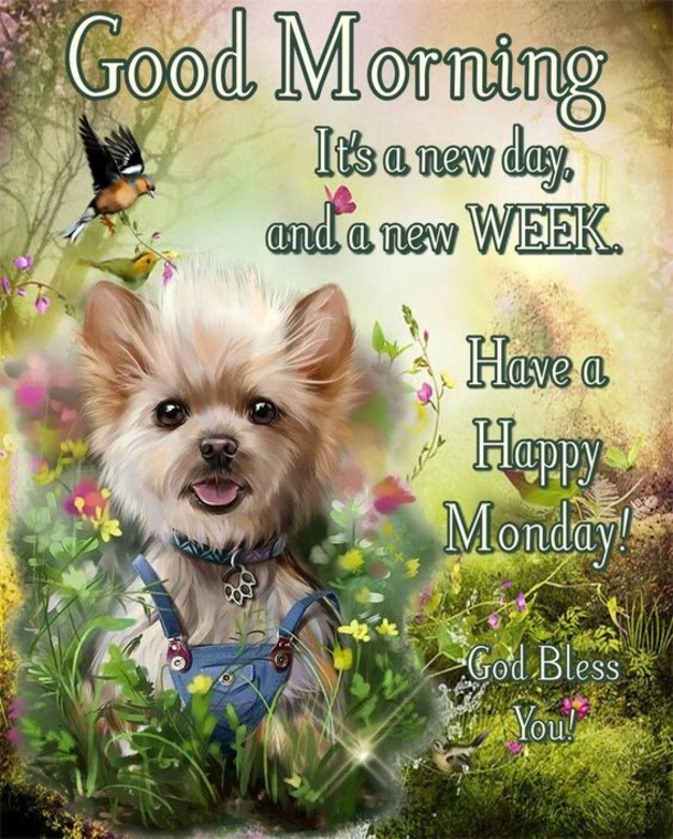 10 Monday Quotes to Kickstart Your Week on a Positive Note - picture 6