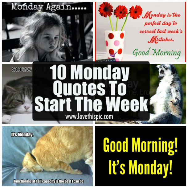 10 Monday Quotes To Start The Week