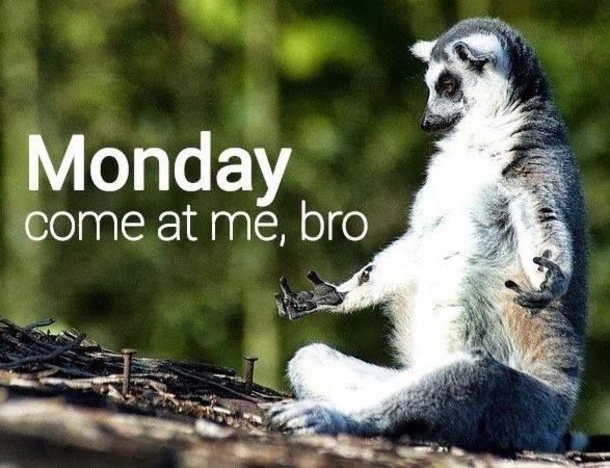 10 Monday Quotes To Start The Week - picture 2