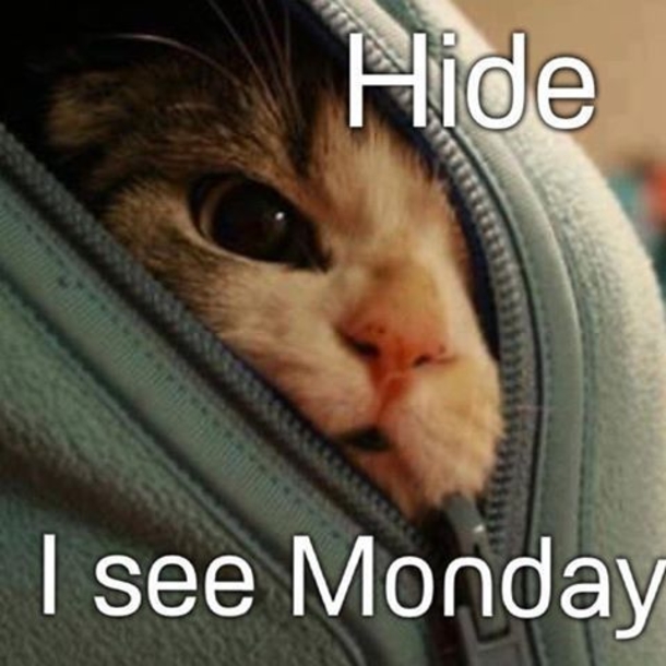 10 Monday Quotes To Start The Week - picture 4