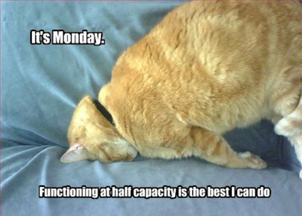 10 Monday Quotes To Start The Week - picture 5