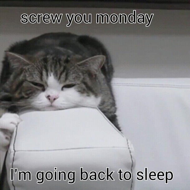 10 Monday Quotes To Start The Week - picture 8