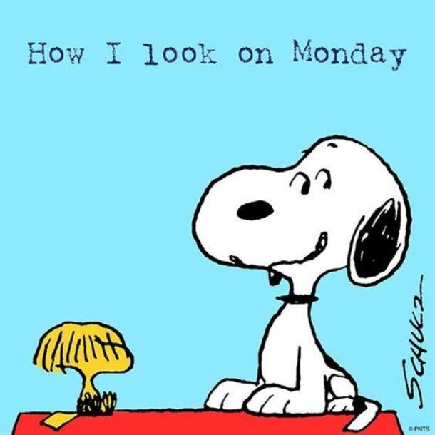 10 Monday Snoopy Quotes For The New Week - picture 4