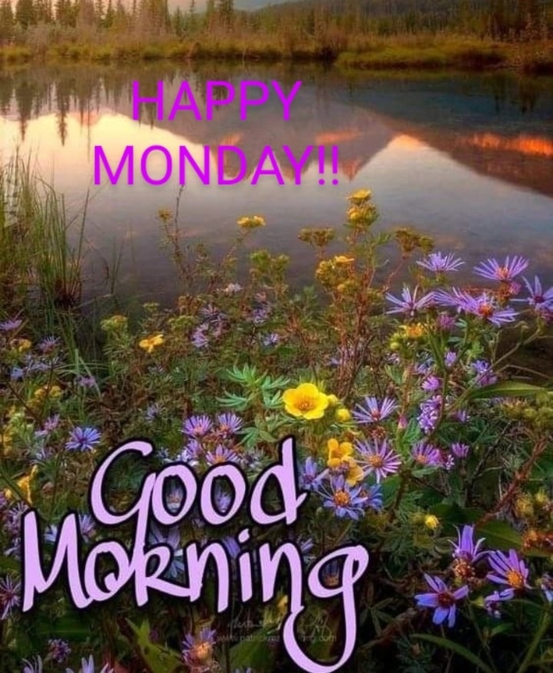 10 Monday Wishes & Greetings Guaranteed to Make Today Your Best Day Yet! - picture 11