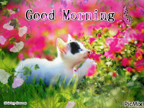 10 Morning Gifs And Animated Good Morning Quotes - picture 4