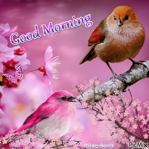 10 Morning Gifs And Animated Good Morning Quotes - picture 5