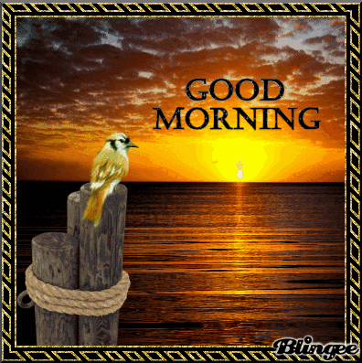 10 Morning Greeting Gifs To Start A Beautiful Day - picture 4
