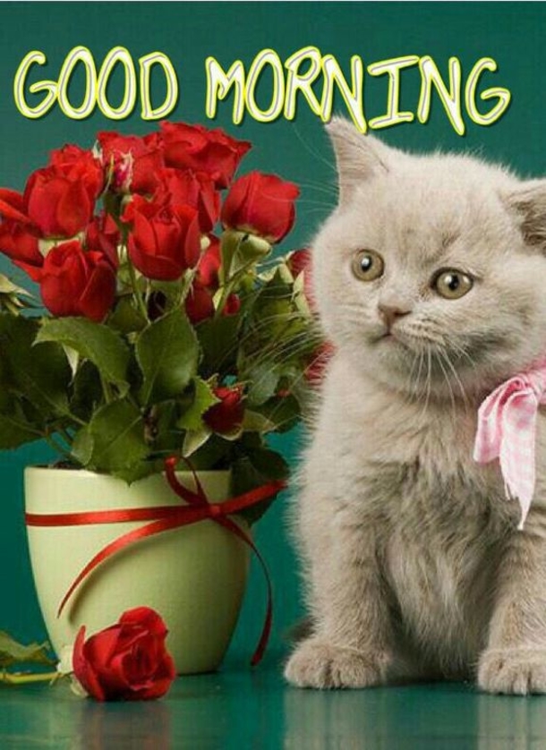 10 Morning Quotes To Help You Have A Special Day - picture 13