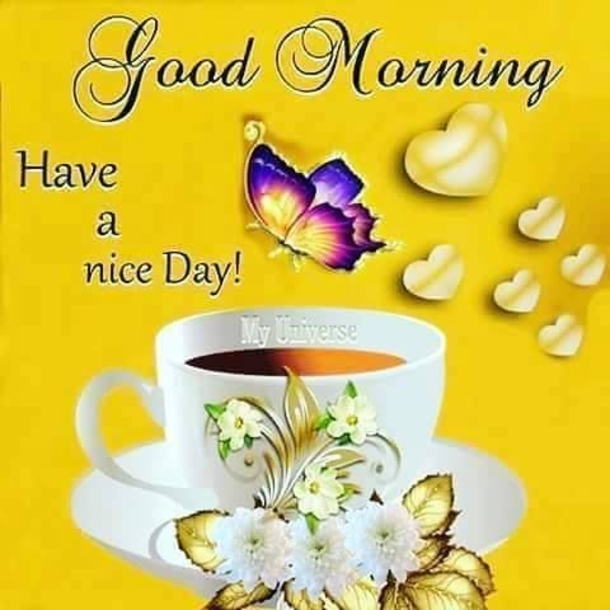 10 Morning Quotes To Help You Have A Special Day - picture 5