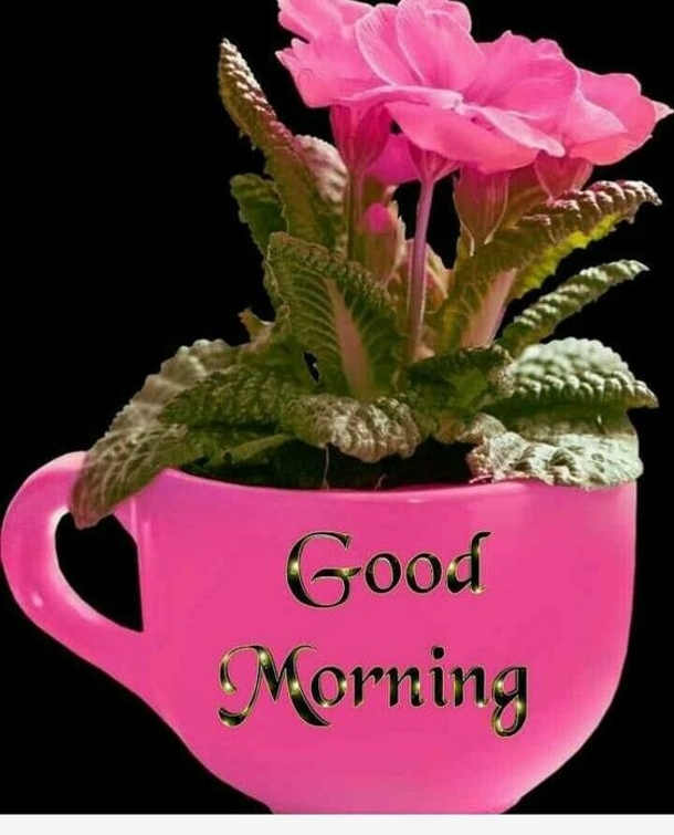 10 Morning Quotes To Help You Have A Special Day - picture 6