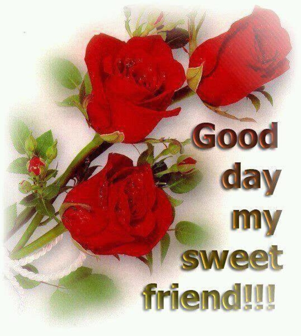 10 Morning Quotes To Wish Family & Friends A Good Day - picture 5