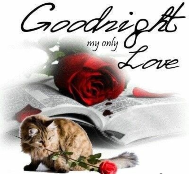 10 Most Beautiful Good Night Images To Share - picture 4