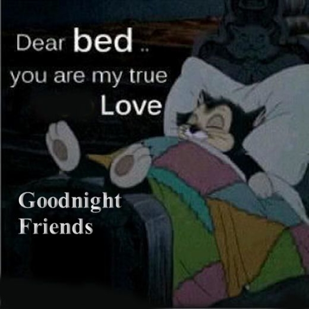 10 Most Beautiful Good Night Images To Share - picture 7
