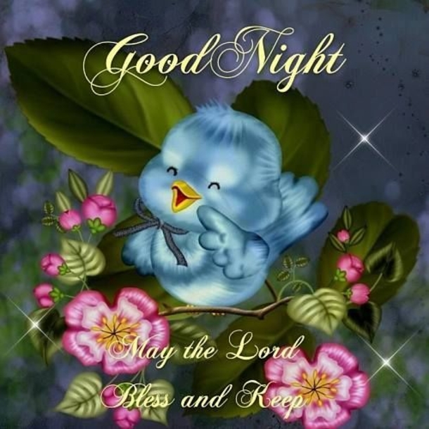 10 Most Beautiful Good Night Images To Share - picture 9