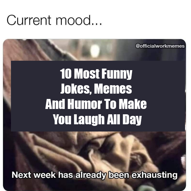 10 Most Funny Jokes, Memes And Humor To Make You Laugh All Day