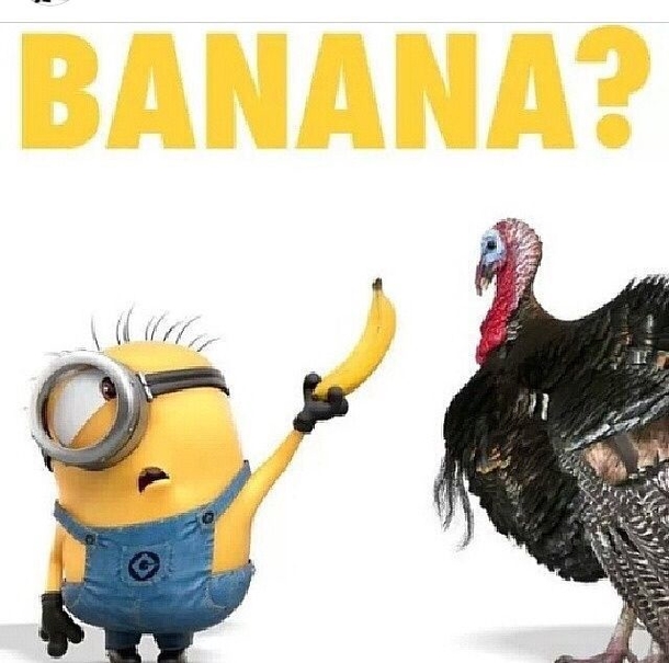 10 Most Funny & Cool Thanksgiving Quotes For 2022 - picture 10