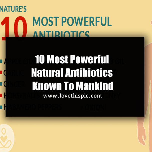 10 Most Powerful Natural Antibiotics Known To Mankind