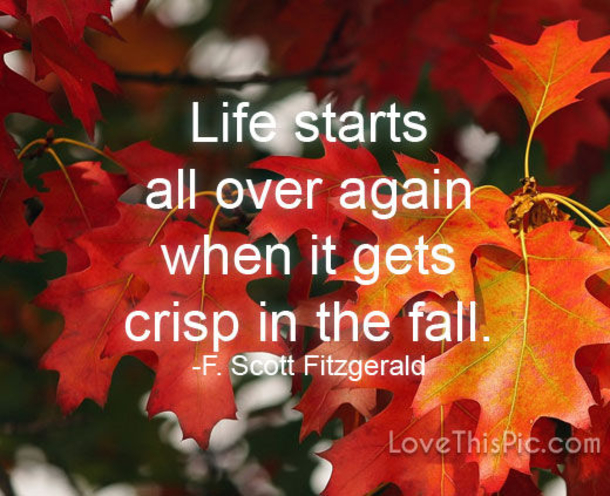 10 Motivating & Empowering Quotes To Live By Everyday - picture 6