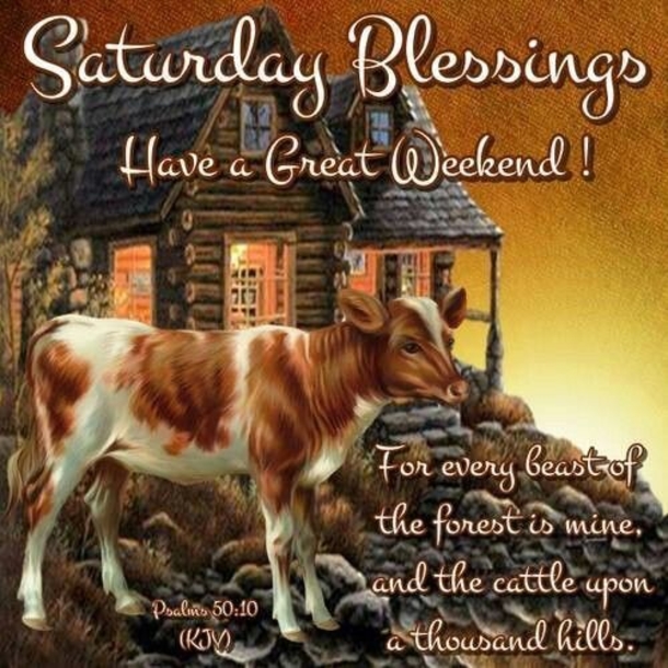 10 Motivating & Spiritual Saturday Blessings - picture 10