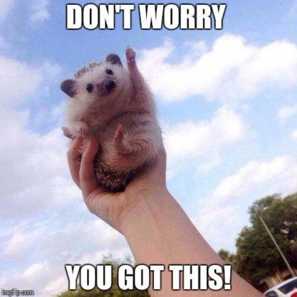 10 Motivational Memes That Will Give You A Boost Of Inspiration When You Need It Most - picture 2