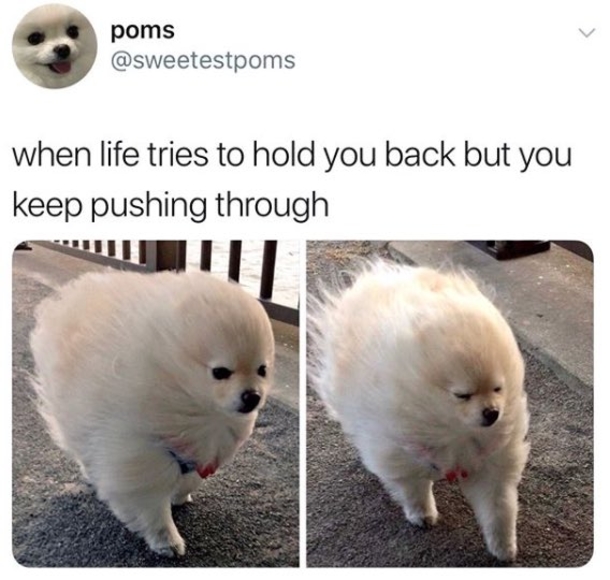 10 Motivational Memes That Will Give You A Boost Of Inspiration When You Need It Most - picture 5