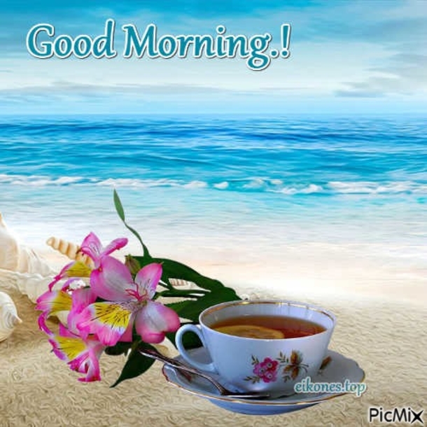 10 New Adorable Morning Animated Quotes - picture 5