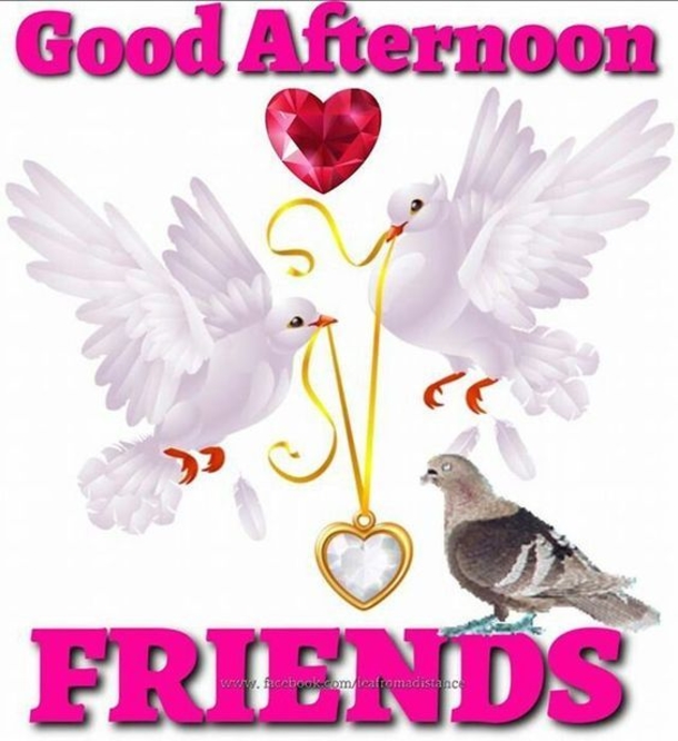 10 New Afternoon Quotes & Sayings To Share - picture 2