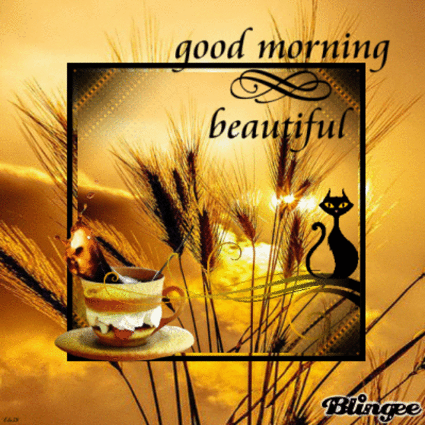 10 New Animated Good Morning Images - picture 9