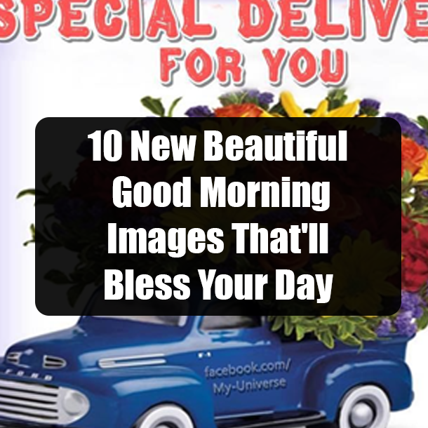 10 New Beautiful Good Morning Images That'll Bless Your Day