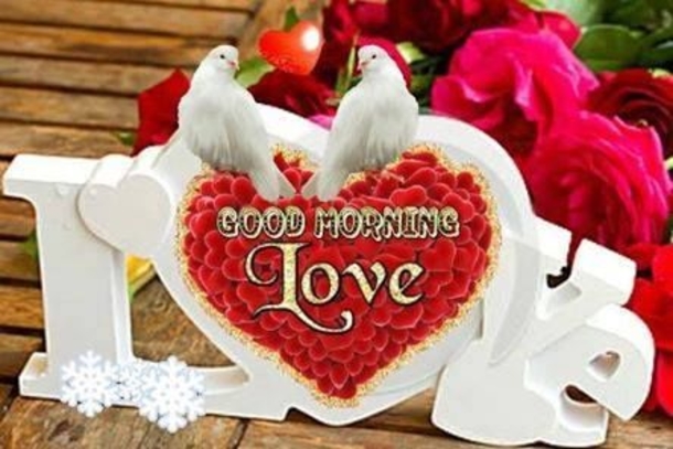 10 New Beautiful Good Morning Images That'll Bless Your Day - picture 2