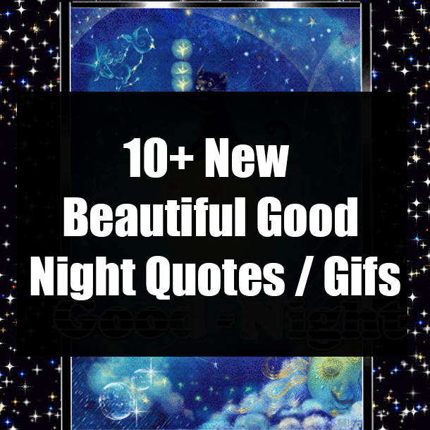 10+ New Beautiful Good Night Quotes / Gifs