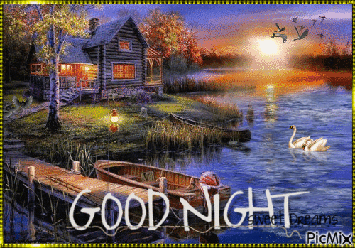 10+ New Beautiful Good Night Quotes / Gifs - picture 13