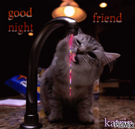 10+ New Beautiful Good Night Quotes / Gifs - picture 6