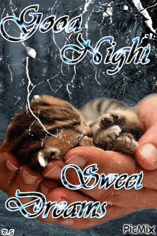 10+ New Beautiful Good Night Quotes / Gifs - picture 8