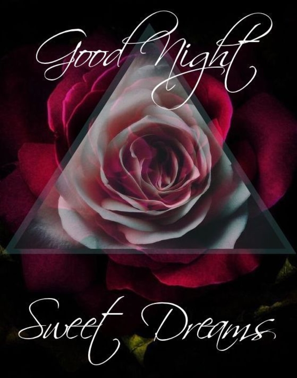 10 New Beautiful Good Night Quotes & Images - picture 10
