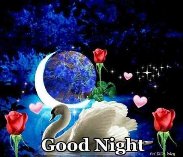 10 New Beautiful Good Night Quotes & Images - picture 2