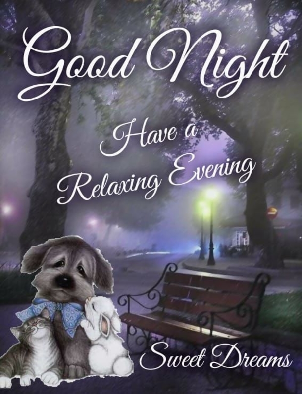 10 New Beautiful Good Night Quotes & Images - picture 3