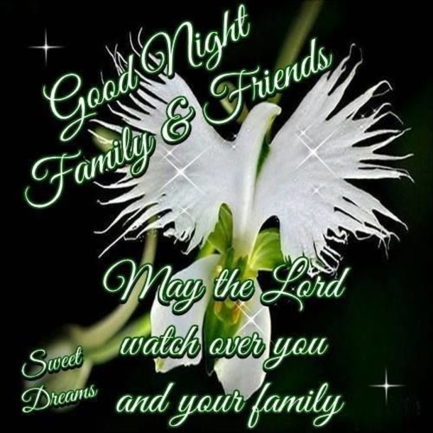 10 New Beautiful Good Night Quotes & Images - picture 4