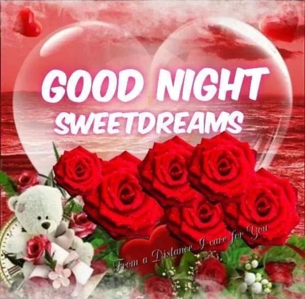 10 New Beautiful Good Night Quotes & Images - picture 5