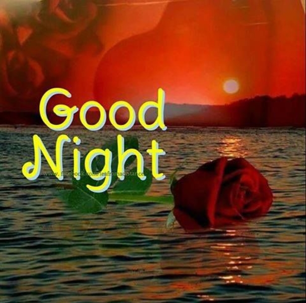 10 New Beautiful Good Night Quotes & Images - picture 7