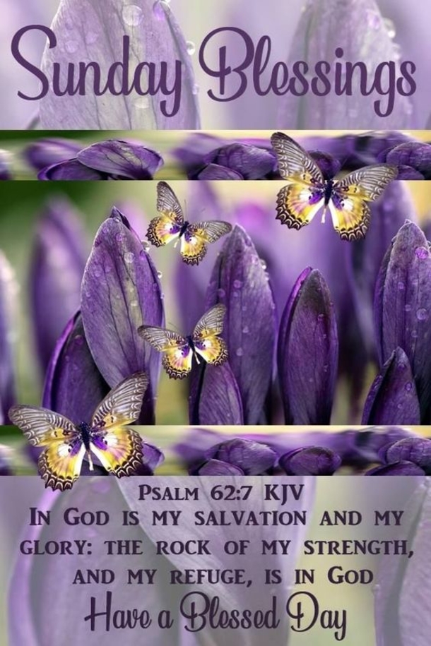 10 New, Beautiful & Blessed Sunday Image Quotes - picture 10