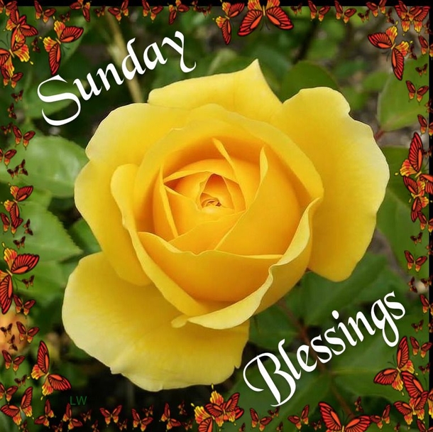 10 New, Beautiful & Blessed Sunday Image Quotes - picture 11